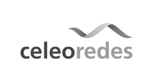 creación pagina web celeo redes
