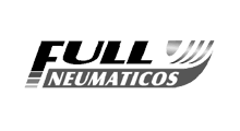 full neumaticos